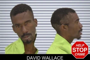 David Wallace mugshot