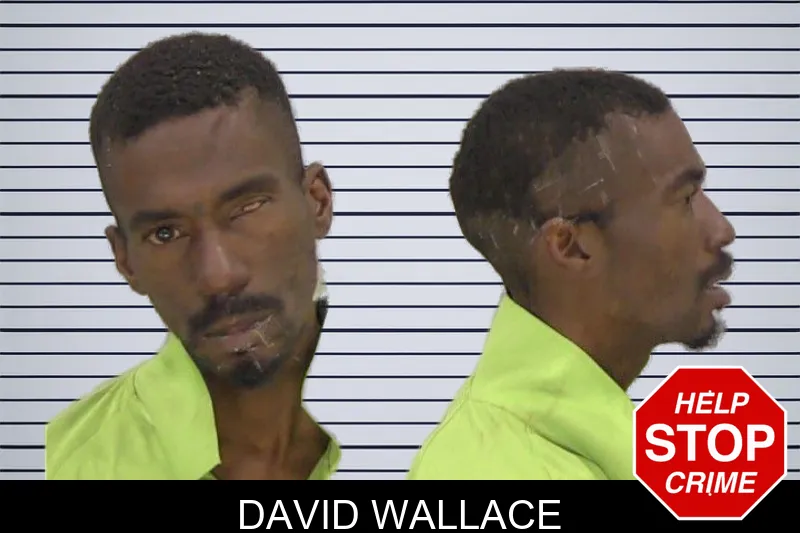 David Wallace mugshot