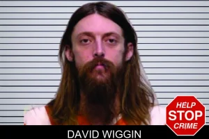 David Wiggin mugshot
