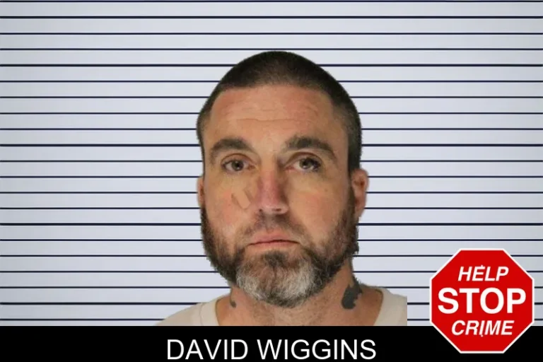 David Wiggins