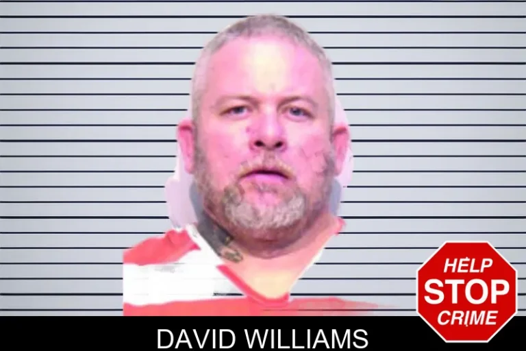 David Williams