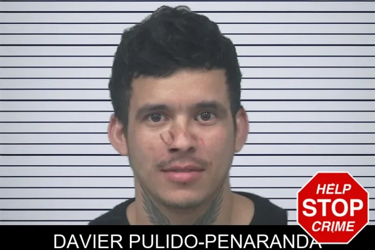 Davier Pulido-Penaranda