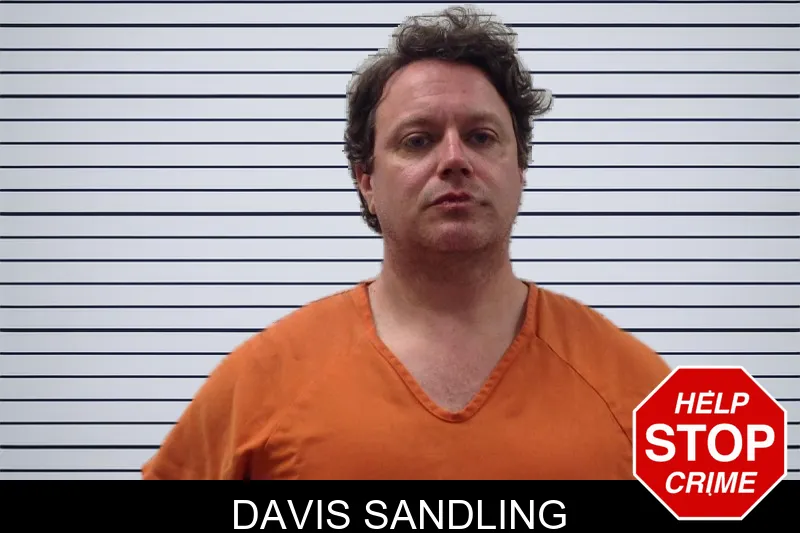 Davis Sandling mugshot