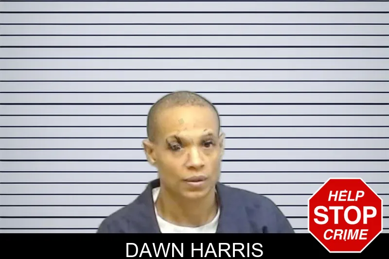 Dawn Harris mugshot – Fulton County , Georgia Dawn Harris mugshot