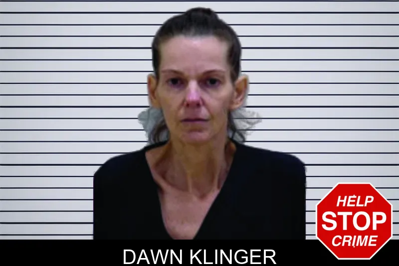 Dawn Klinger mugshot – Bartow County , Georgia Dawn Klinger mugshot
