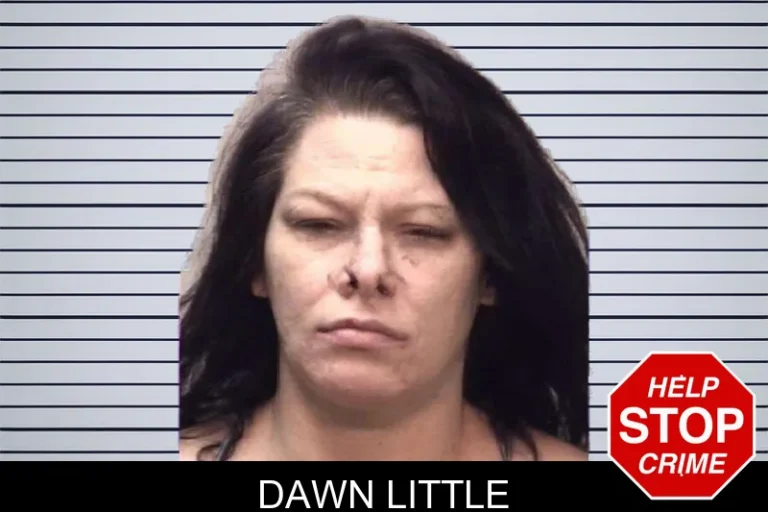 Dawn Little