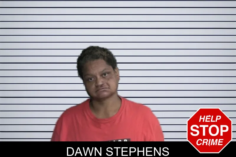 Dawn Stephens mugshot – Twiggs County , Georgia Dawn Stephens mugshot