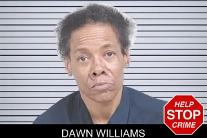 Dawn Williams mugshot