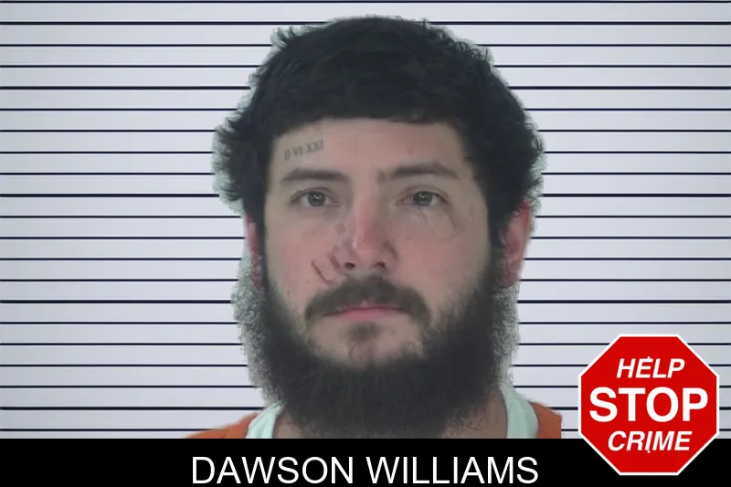 Dawson Williams mugshot
