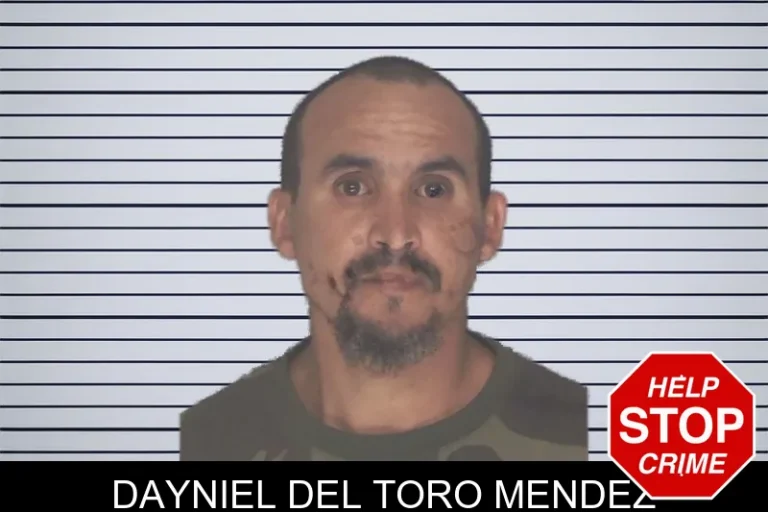 Dayniel Del Toro Mendez