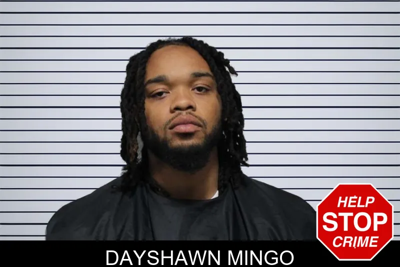 Dayshawn Mingo mugshot