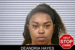 DeAndria Hayes mugshot