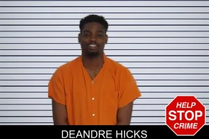 Deandre Hicks mugshot