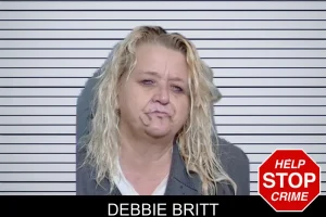 Debbie Britt mugshot