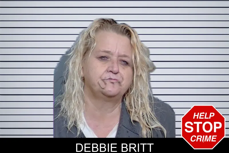 Debbie Britt mugshot – Glynn County , Georgia Debbie Britt mugshot