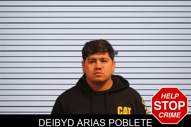Deibyd Arias Poblete mugshot