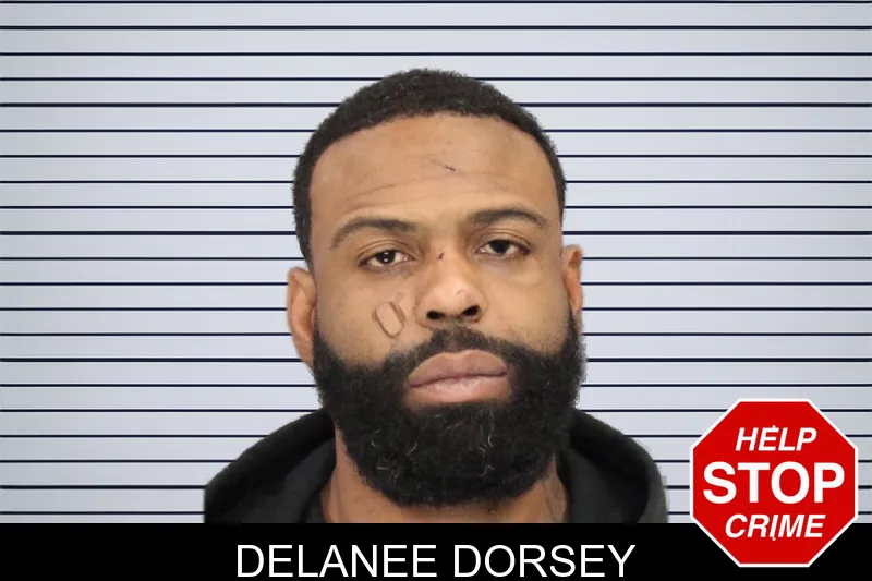 Delanee Dorsey mugshot – Cobb County , Georgia Delanee Dorsey mugshot