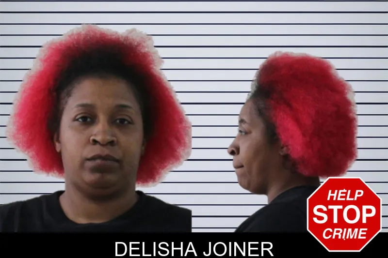 Delisha Joiner mugshot – Houston County , Georgia Delisha Joiner mugshot