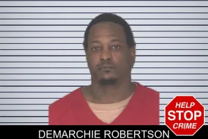 Demarchie Robertson mugshot