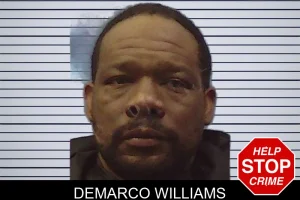 Demarco Williams mugshot