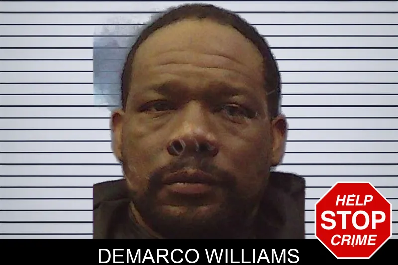Demarco Williams mugshot – Chattooga County , Georgia Demarco Williams mugshot