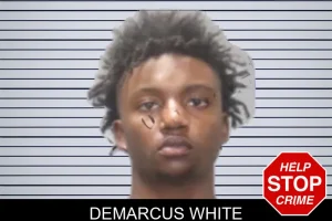 Demarcus White mugshot