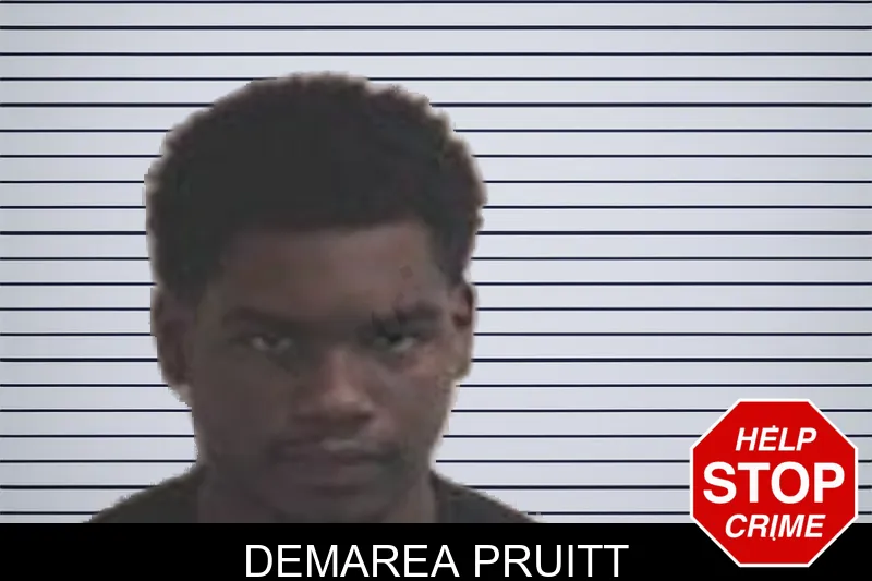 Demarea Pruitt mugshot