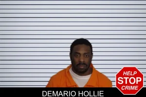 Demario Hollie mugshot