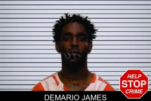 Demario James mugshot