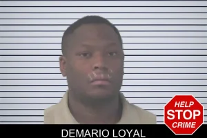 Demario Loyal mugshot