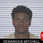Demarious Mitchell mugshot