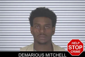 Demarious Mitchell mugshot