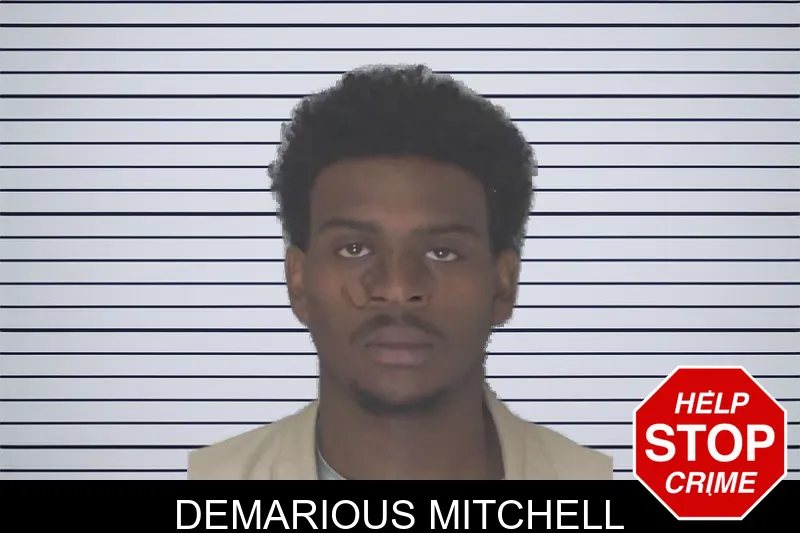 Demarious Mitchell mugshot