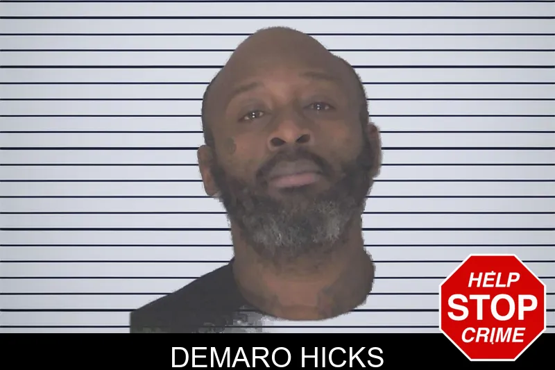 Demaro Hicks mugshot