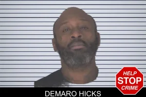 Demaro Hicks mugshot