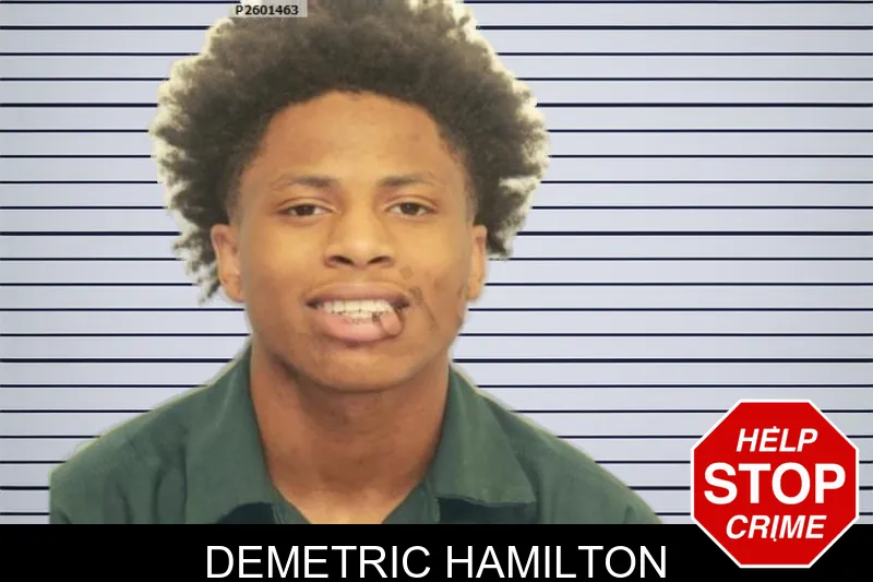 Demetric Hamilton mugshot