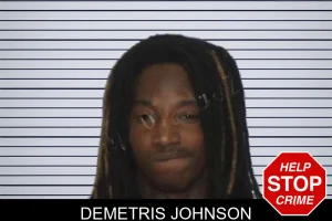 Demetris Johnson mugshot