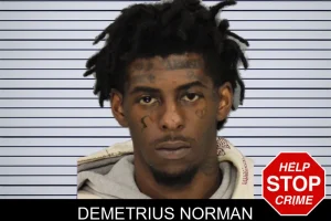 Demetrius Norman mugshot