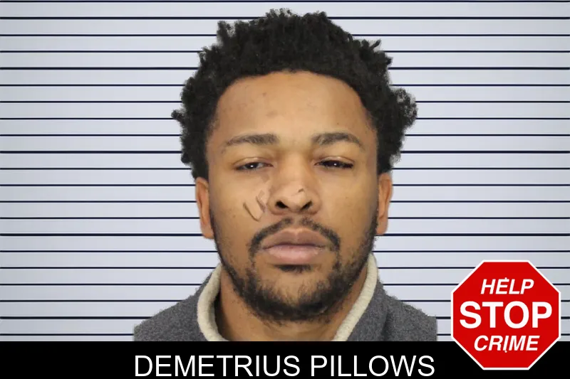 Demetrius Pillows mugshot