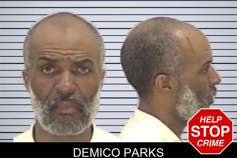 Demico Parks mugshot