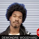 Demondre Woodyard mugshot