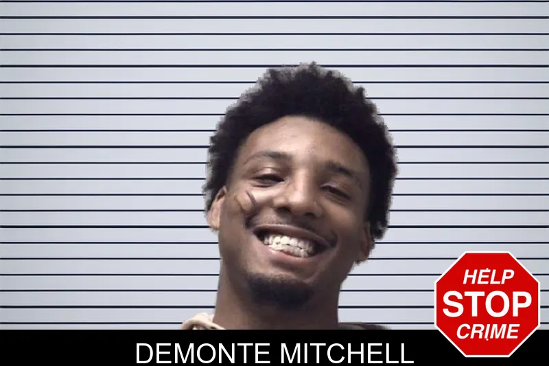 Demonte Mitchell mugshot – Coweta County , Georgia Demonte Mitchell mugshot