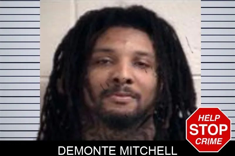 Demonte Mitchell mugshot