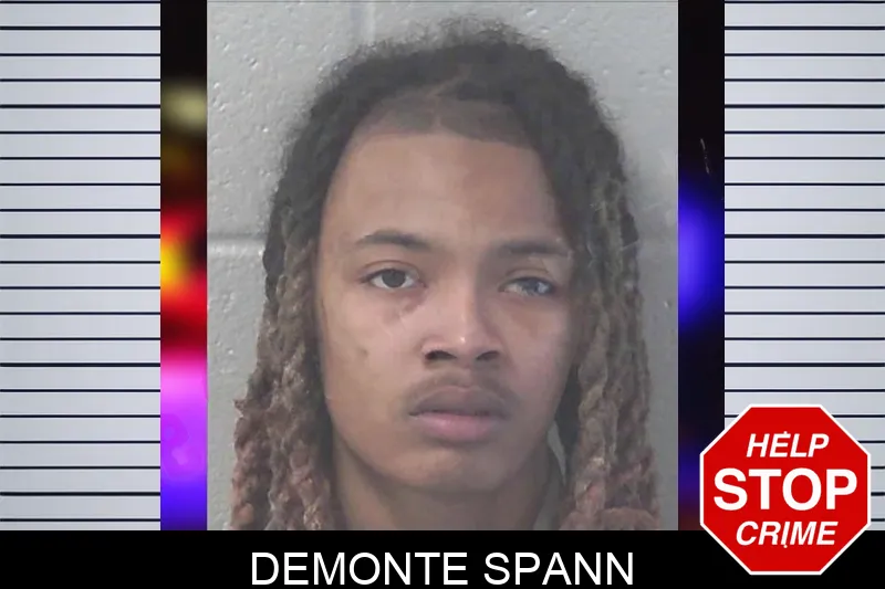 Demonte Spann mugshot – Newton County , Georgia Demonte Spann mugshot