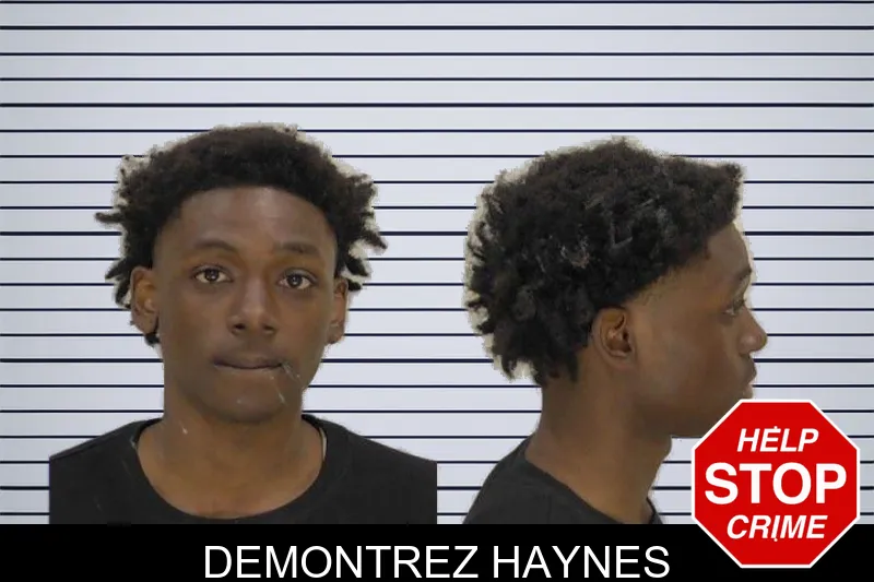 Demontrez Haynes mugshot