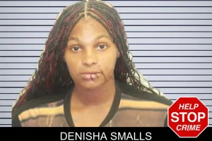 Denisha Smalls mugshot