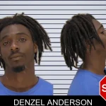 Denzel Anderson mugshot