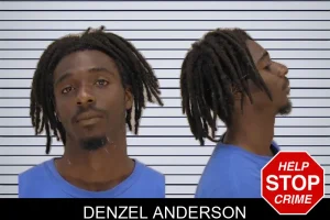 Denzel Anderson mugshot