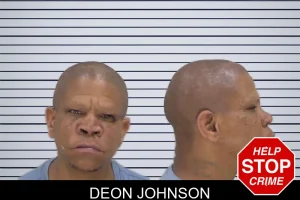 Deon Johnson mugshot