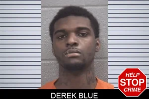 Derek Blue mugshot